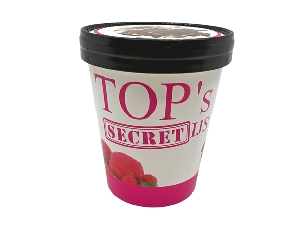 TOP's Secret IJS