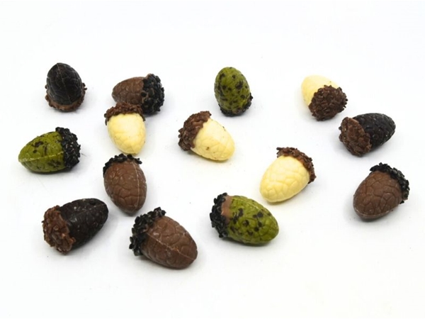 Chocolade Eikels BOX  200 gram