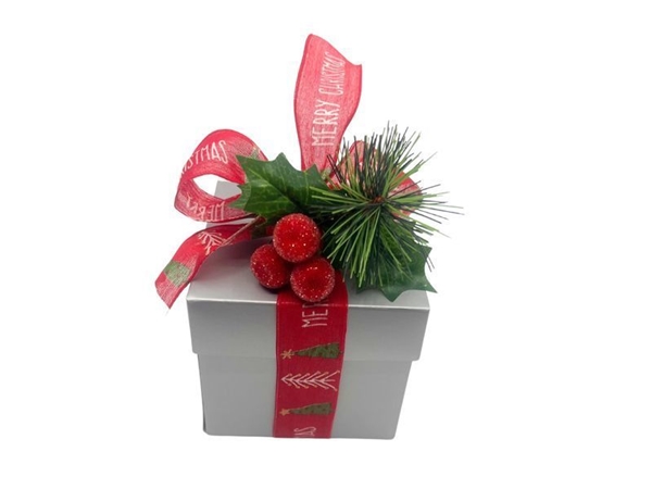 Kerst Cornet 250 gam